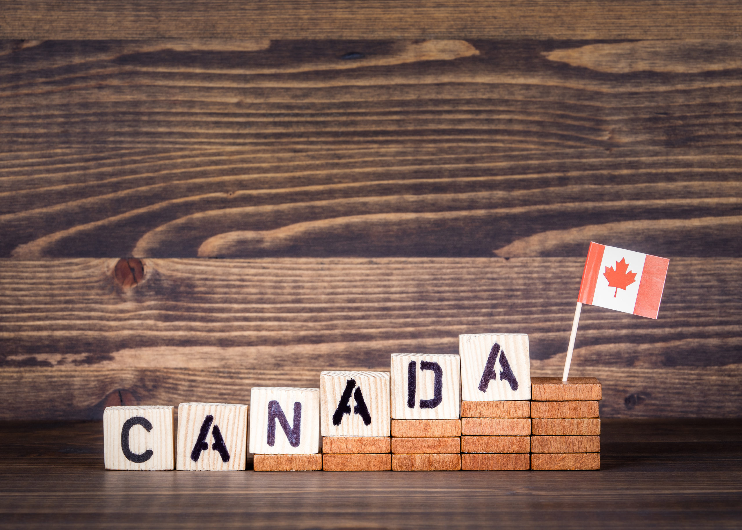 HOW LONG DOES THE IMMIGRATION PROCESS TAKE IN CANADA?