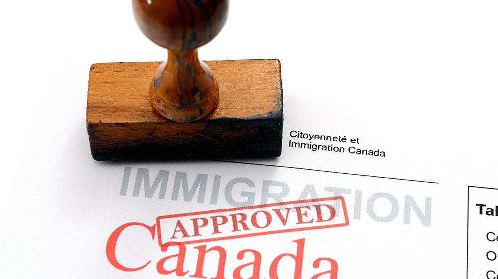 How can an immigration lawyer help with my application?
